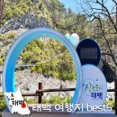 태백로 | 여름 국내 여행지 추천! 시원한 태백 가볼만한곳 best5