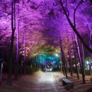 야간도심테마 이미지