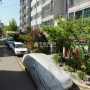 증가로29길 Daum카페