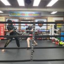 자산동243 이미지