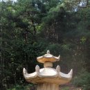 여주-0039 이미지