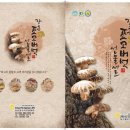 장흥표고버섯 특산물 홍보 이미지