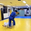 용인대학교강력유도관 네이버블로그