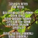 향기담기 이미지