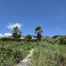 터닝포인트제주 이미지