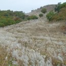 (주)즐거운여행 명성관광