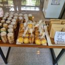 상사의숲 이미지