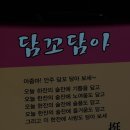 담꼬담아 이미지