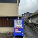 맘마트우미점 | [일본 / 벳푸] 벳푸 여행 2일차 - 우미지옥(바다지옥), 효탄온천, 토요츠네 본점, 벳푸 돈키호테
