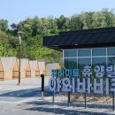 일라이트 이미지