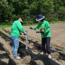 임금농장 이미지