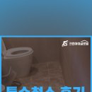 크린아이글로벌