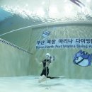 이브스토어김해 | 경남 부산 김해 송도 프리다이빙 입문 강습 가격 및 교육 후기