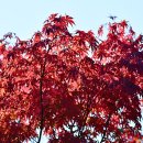 충무공파출소 이미지