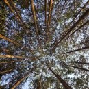 월천 농어촌체험휴양마을 | 기획력이 마을의 경쟁력! 월천체험휴양마을의 새로운 변화를 약속하며