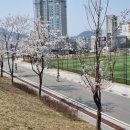 양지놀이터 이미지