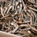 기선권현망수산업협동조합(멸치권현망수협) 이미지