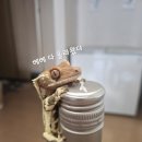 초크(chalk) | [미국 화이트 와인] 초크힐 샤도네이(CHALK HILL CHARDONNAY) 솔직 리뷰/후기