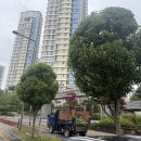 가로수길 이미지