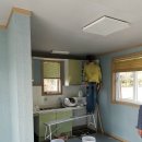 하늘빛으로 물든새 이미지