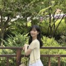미니매니