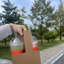 셀렉토커피 세종시청점