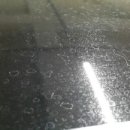 세진자동차 이미지