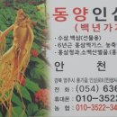 동양인삼사