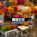 에이티포 이미지