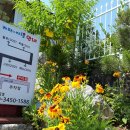 가평의아침 이미지