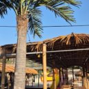 쁘띠 힐링 카라반 이미지