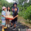 강진옴천초등학교 이미지