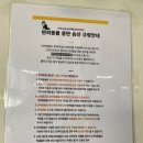 한일애견