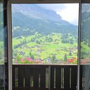 앨리스 in 제주비 | 스위스 앨리스할머니 예약 메일 가격 정보 2025년 8월 4박 5일 방문 후기