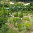 점동초안평분교장 이미지