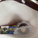 연산6동행정복지센터 (1층) 네이버블로그
