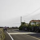 제주클래식위미 이미지