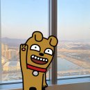 한밭에너지건설 | [대전 호텔] 오노마 호텔 후기 [가격, 리버뷰 객실, 조식, 수영, 헬스장 ]
