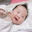 이도은 카카오 검색결과
