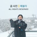 시드니에서온스시&롤