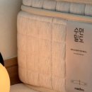 펫키퍼 이미지