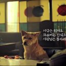 알바몬 CF 3개.. 링크..- 플레이오류 수정.잘 나와요 이미지