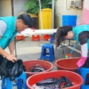 세탁본부 이미지