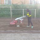 파주대원초교(병설) 이미지