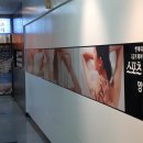 루리달&amp; 영통스포츠마사지엘림