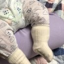 (주)사평다슬기 수제비 이미지