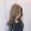아쿠아미용실 이미지