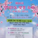 양평1동-4 | 안양천 벚꽃길 (개화상황,양평1동 벚꽃축제, 주차장)
