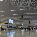 439 | 충칭 면세점 털기 | 충칭 공항/충칭 공항 면세점/차안열색/산리오샵/젤리캣/에어차이나 CA439편 후기