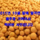 마정1농장 이미지